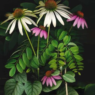 Summer Garden No. 17 by Keith Parks