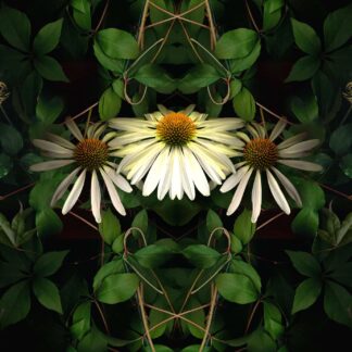 Summer Garden No. 30 by Keith Parks
