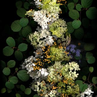 Summer Garden No. 31 by Keith Parks