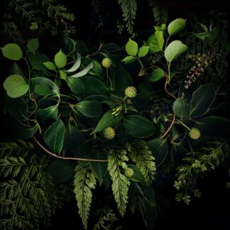 Summer Garden No. 36 by Keith Parks