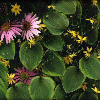 Summer Garden No. 6 by Keith Parks