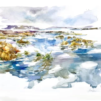 Coastal Wetlands by Susan O'Neill