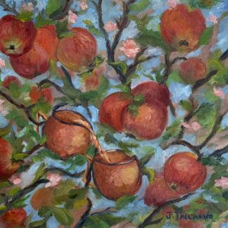 Apple Cider Dance by Jennifer Tallarico
