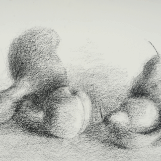 Basic Drawing (Adult)