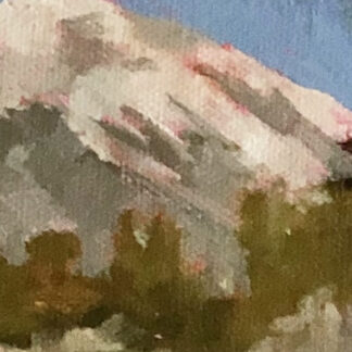 Estes Park in the Spring by Deborah Taylor