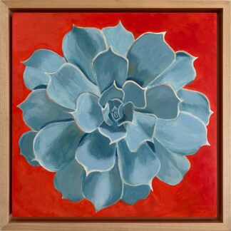 Succulent by Mary Anne Taylor
