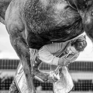 The Farrier by Rob Baker