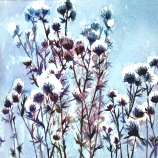 Wild Flowers by Jane Thomas