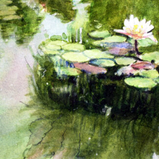 Lily ponds 4 by Jane Thomas