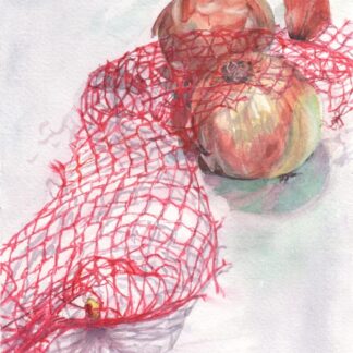 Onions by Jane Thomas