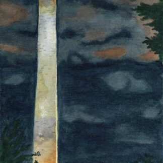 Washington Monument at Night by Susan Thornton