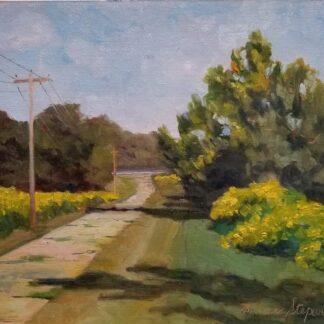 Tickweed Sunflowers by Barbara Stepura