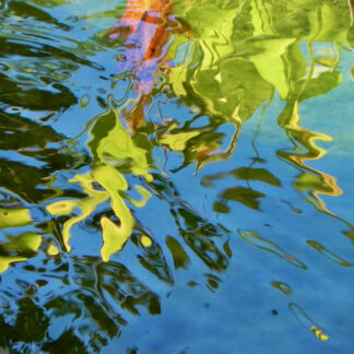 Water Colors by Suzanne Tillman