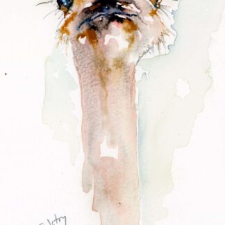 Ostrich Head by Alexandra Tolstoy
