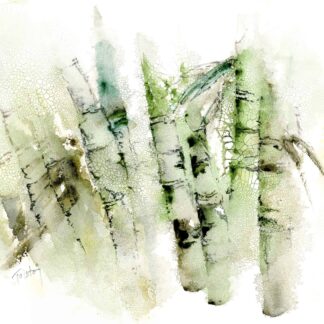 Bamboo Forest by Alex Tolstoy
