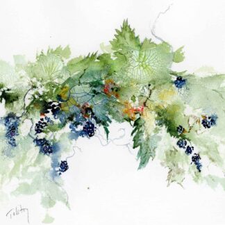 Blackberries and Leaves by Alex Tolstoy