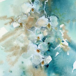 Orchid #5 by Alexandra Tolstoy