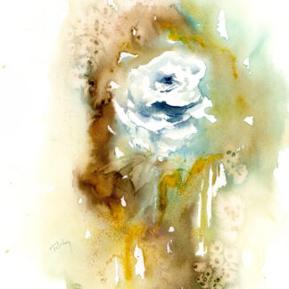 White Rose by Alexandra Tolstoy