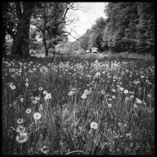 Along Route 15 by Jo Ann Tooley
