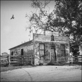 Blue House in B&W by Jo Ann Tooley