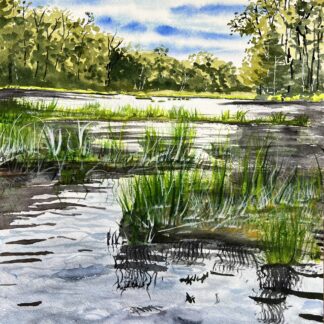 The Path of Water by Ginya Truitt Nakata