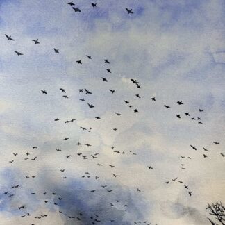 Soar by Ginya Truitt Nakata