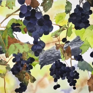 Harvest Time by Ginya Truitt Nakata