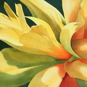 "Tulip" by Rachel Collins