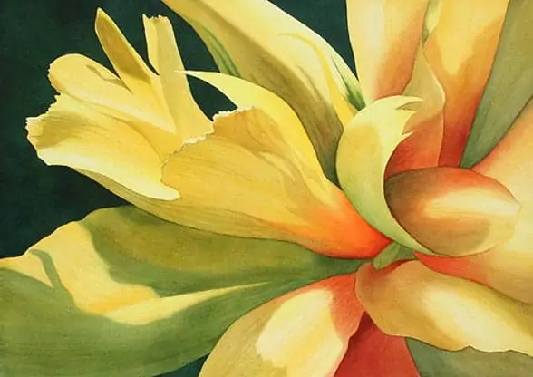 "Tulip" by Rachel Collins