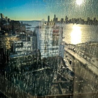 Dirty Windows by Shannon Turkewitz