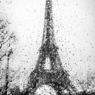 La Dame de Fer ne Rouille pas. (The Iron Lady does not rust.) by Shannon Turkewitz