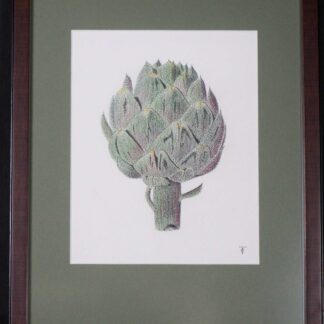 Cynara Cardunculus by Fred Tyner