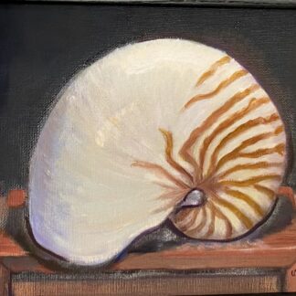 Chambered Nautilus by Patsie Uchello