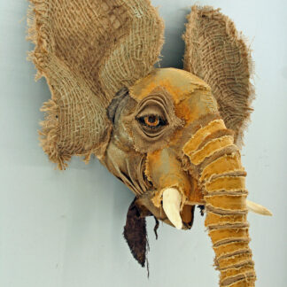 Veterans: The African Elephant by Holly Cole