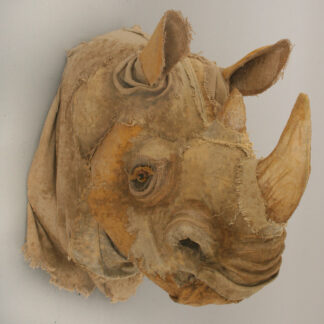 Veterans: Rhinos by Holly Cole