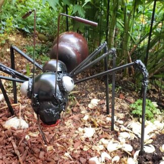My Ant Felix by H Paul Volden