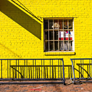 Shadows and Bike Racks by Willa Friedman