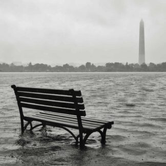 Waiting for Climate Action by Daniel Horowitz