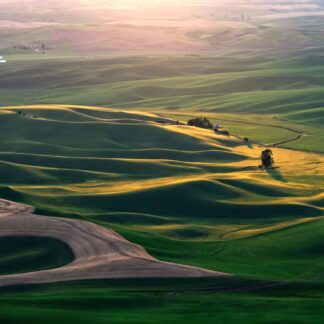 Rolling Hills of Green by Haesoon Wethington