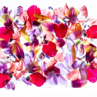 What Remains is Still Beautiful by Victoria Barnes