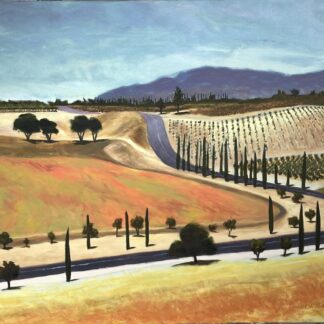 Temecula Vineyards by Chuck Williams