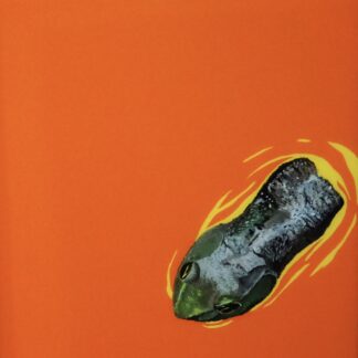 Frog by Kirk Willis