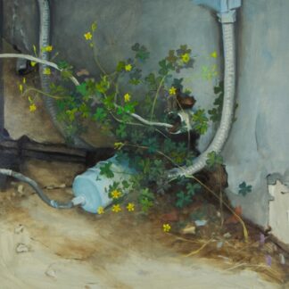 Yellow Woodsorrel by Mike McSorley