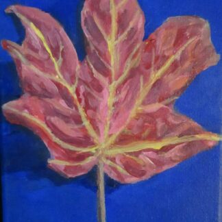 Faded-Red Maple Leaf on Blue by Paul Zapatka