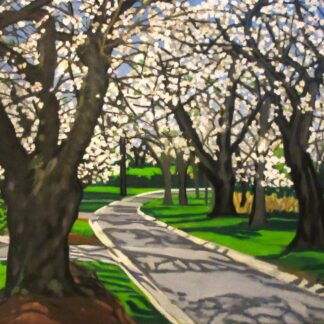 Kenwood, Maryland's Cherry Blossoms' Road by Paul Zapatka