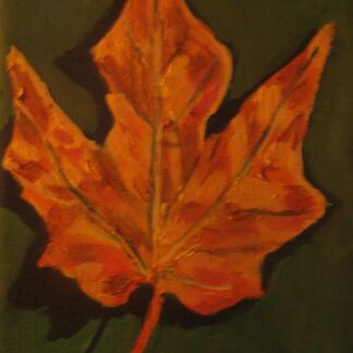 Fading Autumn Maple Leaf by Paul Zapatka