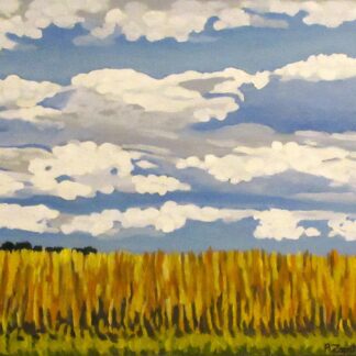 Winter Wheat Field in Leesburg, VA by Paul Zapatka