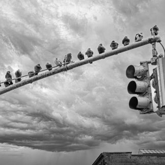 people Watching by Rob Baker