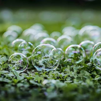 Backyard Soap Bubbles by Rob Baker
