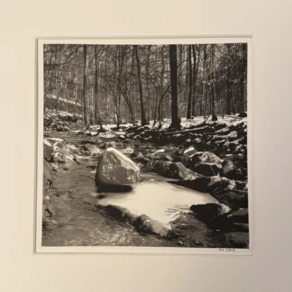 Scott’s Run Potomac Gorge by David Berry